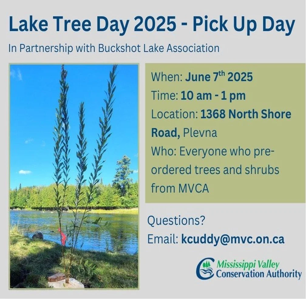Tree Planting flyer